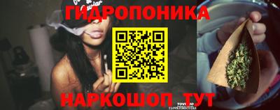 ECSTASY Северобайкальск