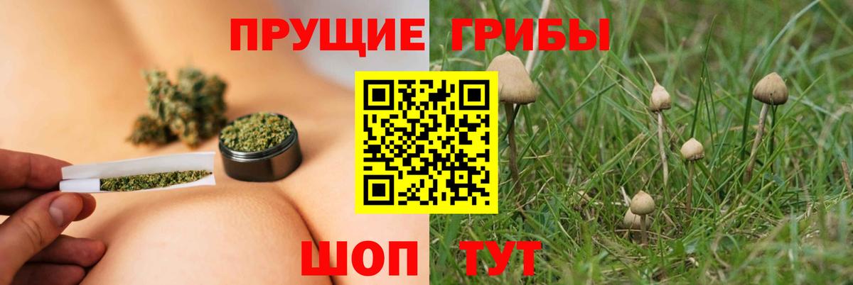 Псилоцибиновые грибы мухоморы Нарткала